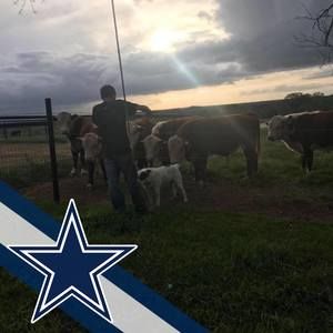 Meet your Posher, Jackson